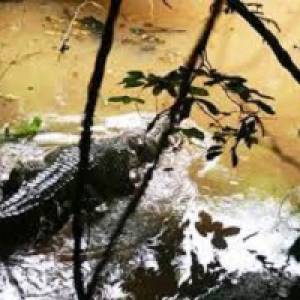 Ani Ozalla Lake and Shrine- Nkanu