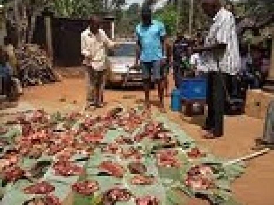 Native rights in Igbo land- Oke omunna