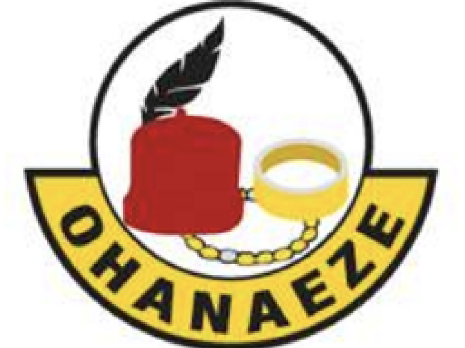 Ohanaeze Ndigbo UK invalidate recent election in London, inaugurate transition committee